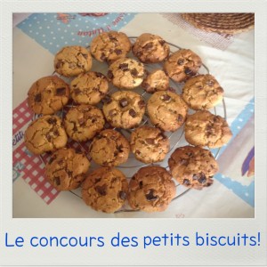 Cookies moelleux au chocolat et fleur de sel