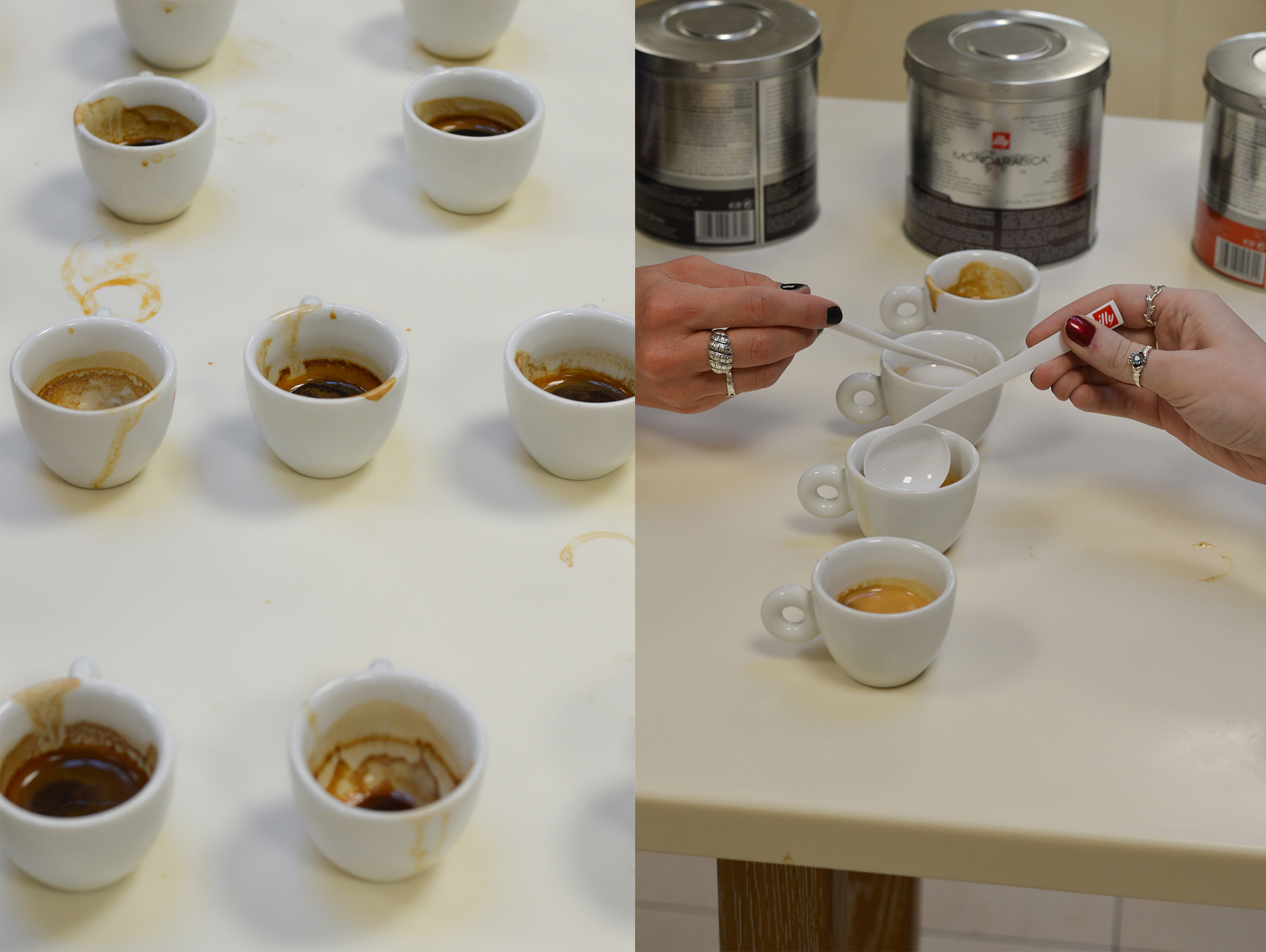 Illy tasting